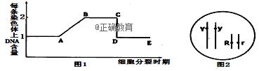 www.xiangpi.com