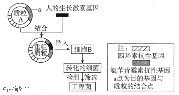 www.xiangpi.com