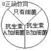 www.xiangpi.com