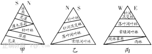 www.xiangpi.com