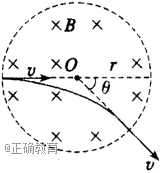 www.xiangpi.com