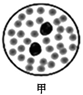 www.xiangpi.com