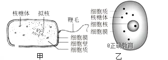 www.xiangpi.com