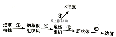 www.xiangpi.com