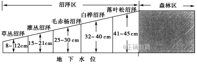 www.xiangpi.com