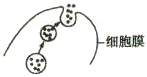 www.xiangpi.com