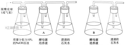 www.xiangpi.com