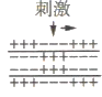 www.xiangpi.com