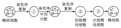 www.xiangpi.com