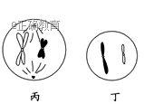 www.xiangpi.com