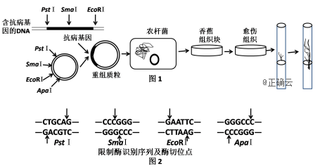 www.xiangpi.com