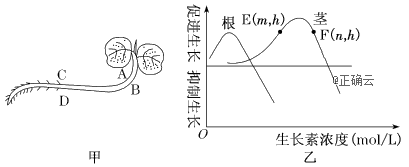 www.xiangpi.com