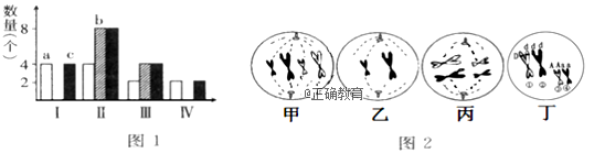 www.xiangpi.com