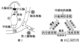 www.xiangpi.com