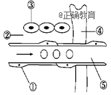 www.xiangpi.com