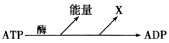 www.xiangpi.com