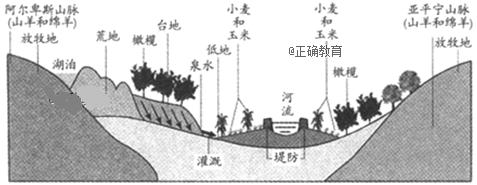 www.xiangpi.com