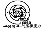 www.xiangpi.com