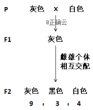 www.xiangpi.com