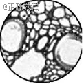 www.xiangpi.com