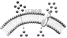 www.xiangpi.com
