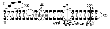 www.xiangpi.com