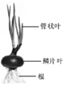 www.xiangpi.com