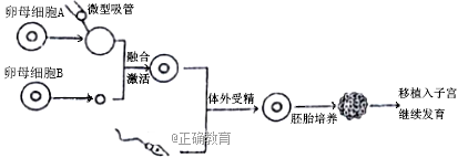 www.xiangpi.com