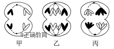 www.xiangpi.com