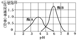 www.xiangpi.com