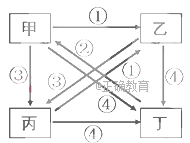 www.xiangpi.com
