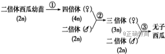 www.xiangpi.com