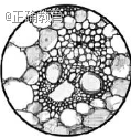 www.xiangpi.com