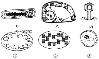 www.xiangpi.com