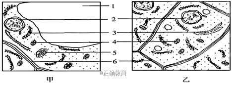 www.xiangpi.com
