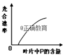 www.xiangpi.com