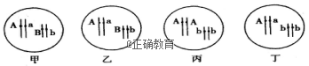 www.xiangpi.com