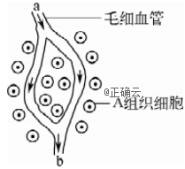 www.xiangpi.com