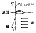 www.xiangpi.com