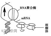 www.xiangpi.com