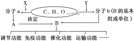 www.xiangpi.com