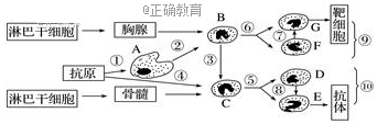 www.xiangpi.com