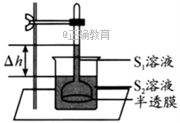 www.xiangpi.com