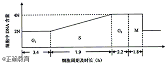 www.xiangpi.com