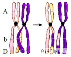 www.xiangpi.com