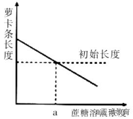 www.xiangpi.com