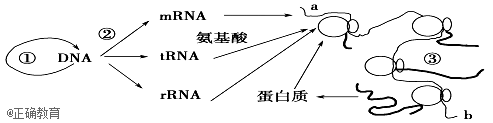 www.xiangpi.com