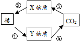 www.xiangpi.com