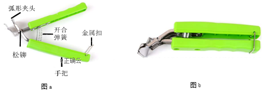 www.xiangpi.com