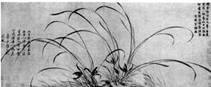 www.xiangpi.com